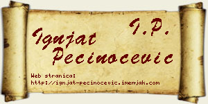 Ignjat Pečinoćević vizit kartica